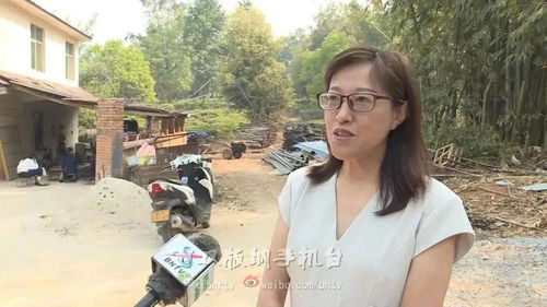 織密民生安全網(wǎng) 在數(shù)智時(shí)代守好群眾